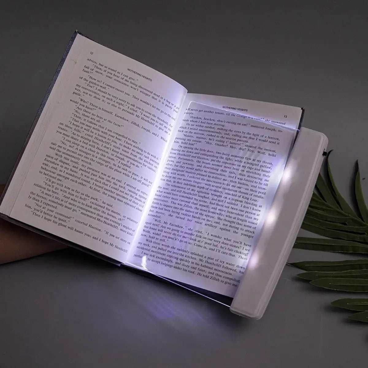 Open book with a light illuminating the text on a dark surface