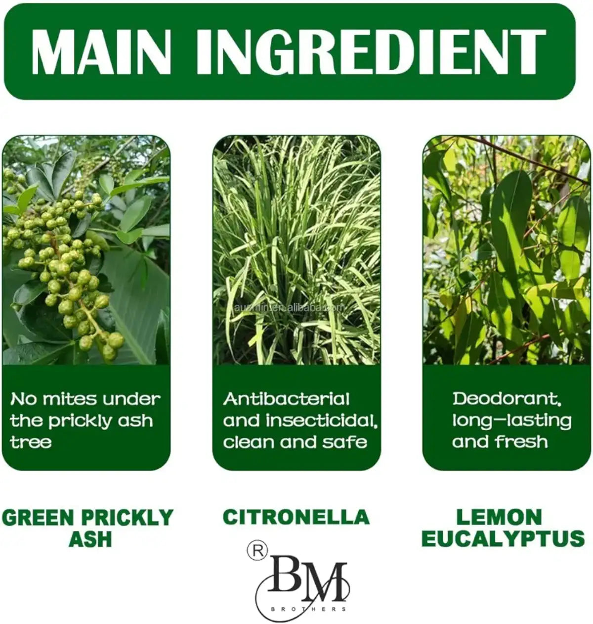 Three panels showing greenery with text about ingredients and their benefits, featuring the brand 'B&M'.